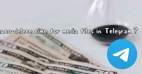 How to set the auto-delete time for media files in Telegram？