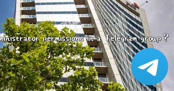 How to set administrator permissions in a Telegram group？